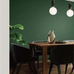 Imagem do WhatsApp de 2025-02-17 à(s) 14.32.08_0bee4296